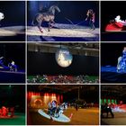 HansePferd GalaShow "frieds"