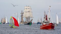 Hansesail 2010