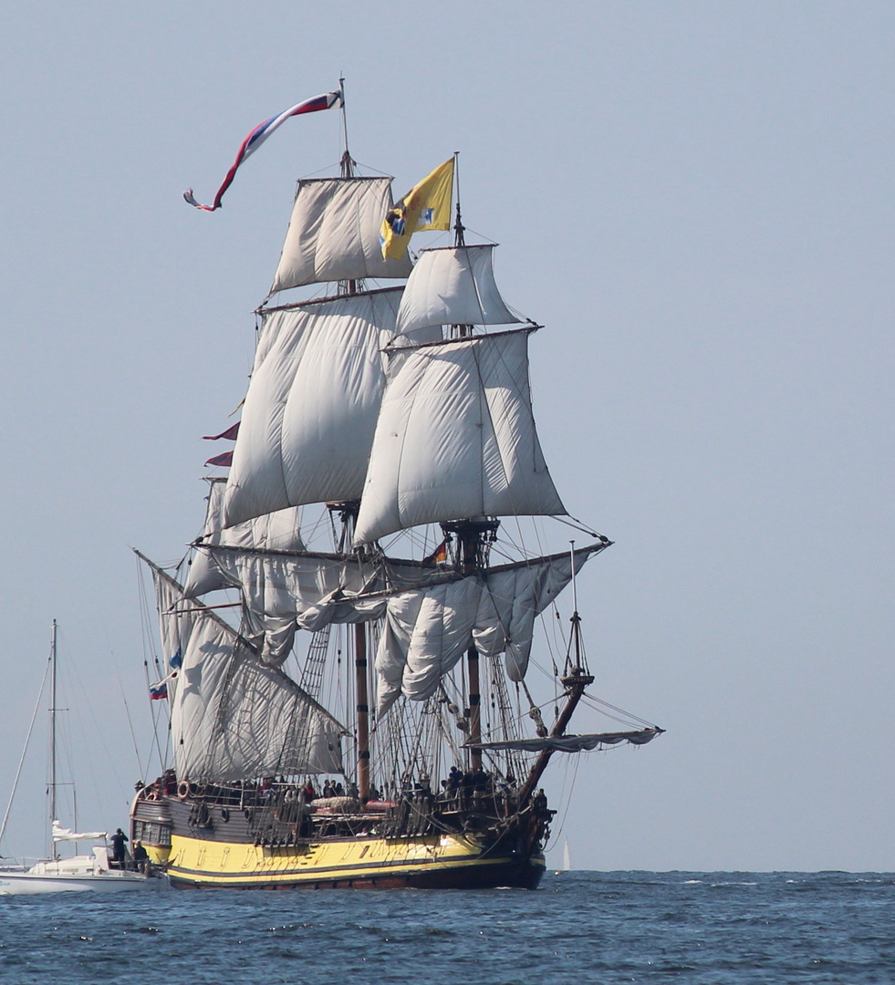 Hansesail 2011