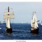 Hansesail 2011