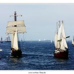 Hansesail 2011