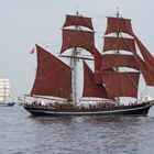 Hansesail 2013