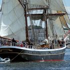 Hansesail 2017 (05)