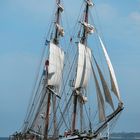 Hansesail 2017 (11)