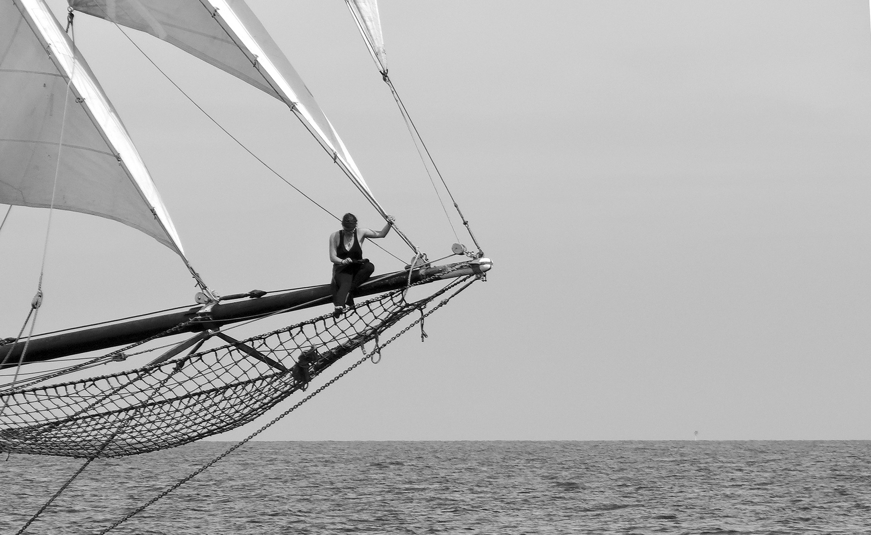 hansesail auf Kurs