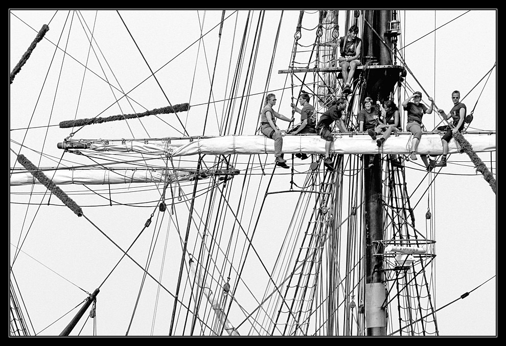 Hansesail Rostock 2009