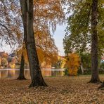 Hansestadt Lübeck: Die Blätter fallen!