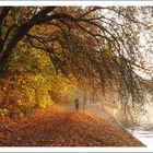 Hansestadt Lübeck: Herbst am Kanal