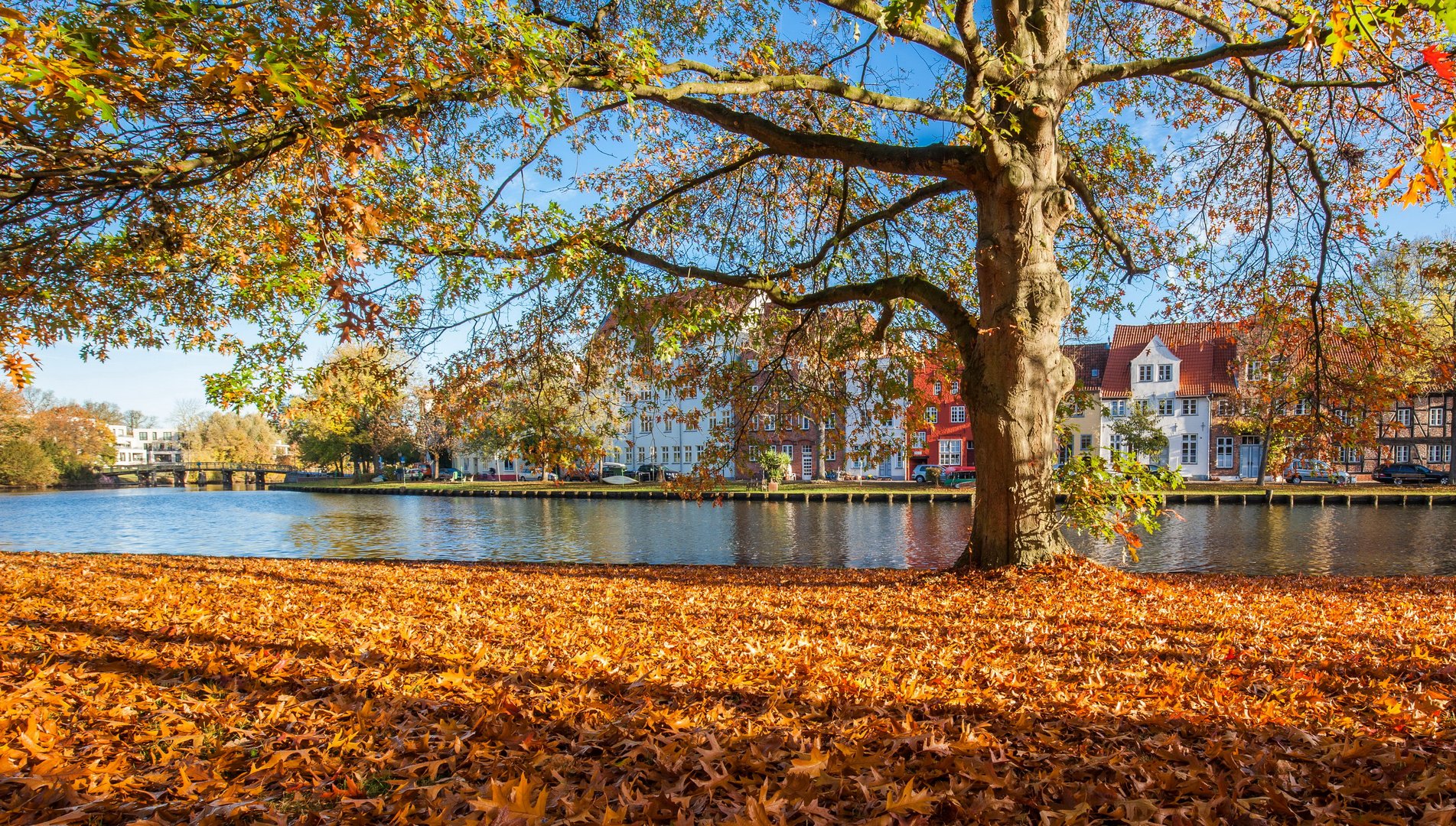 Hansestadt Lübeck: Herbstmorgen an der Obertrave