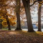 Hansestadt Lübeck: Herbststimmung am  Krähenteich