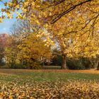 ****Hansestadt Lübeck: Novemberstimmung****