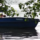 Hansi