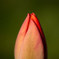Hansjörg - www.xhj.de