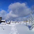 Hanskühnenburg im Harz