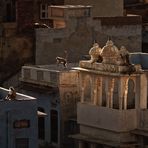 HANUmood ~ Rajasthan