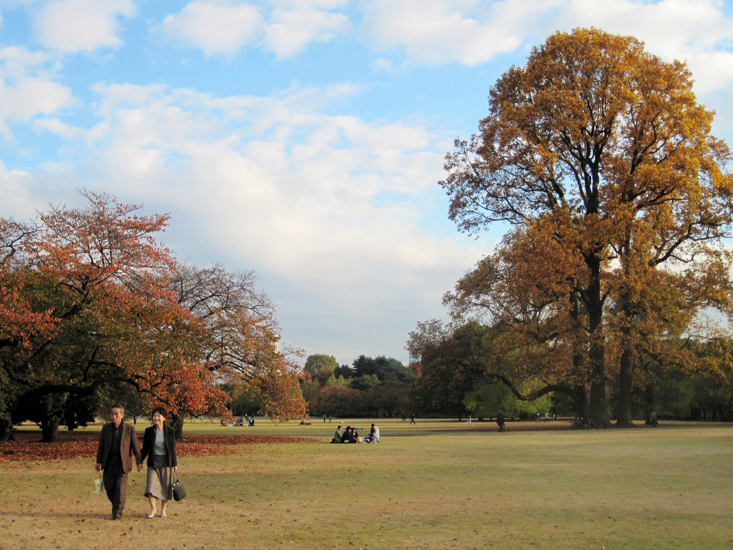 Happiness in Autumn