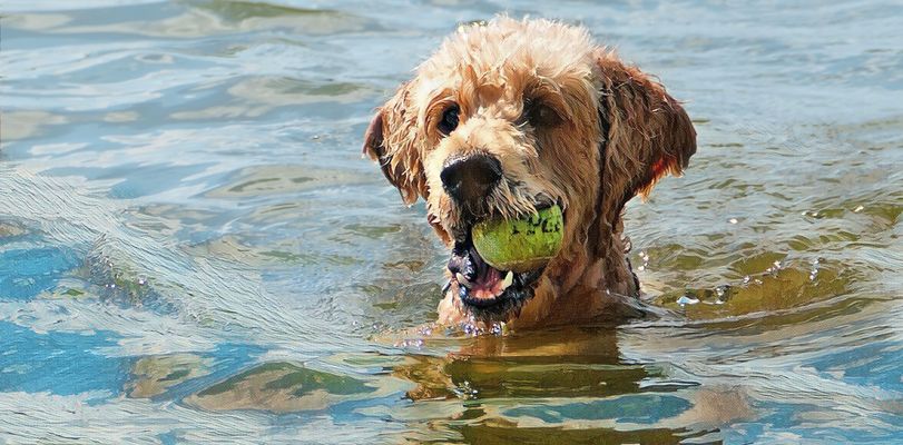 ... happiness in the small moments