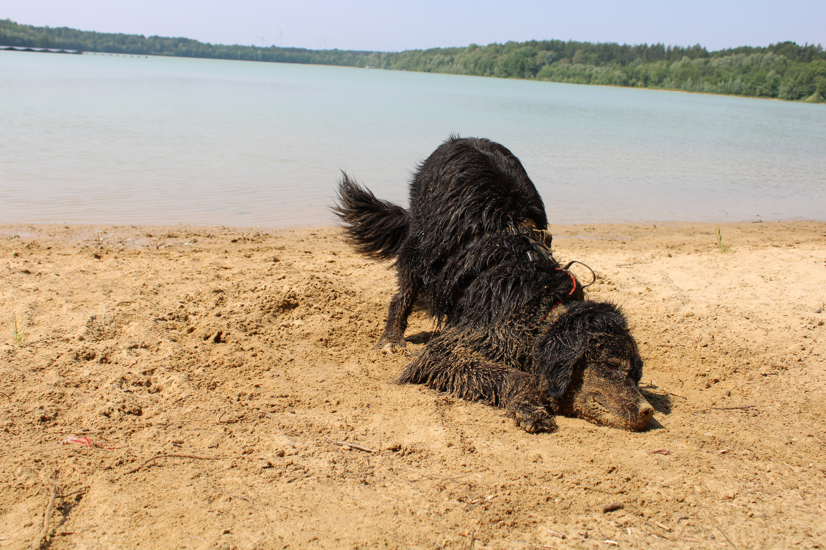 Happiness oder Wasser im Ohr 