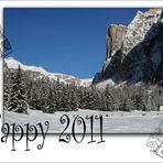 Happy 2011