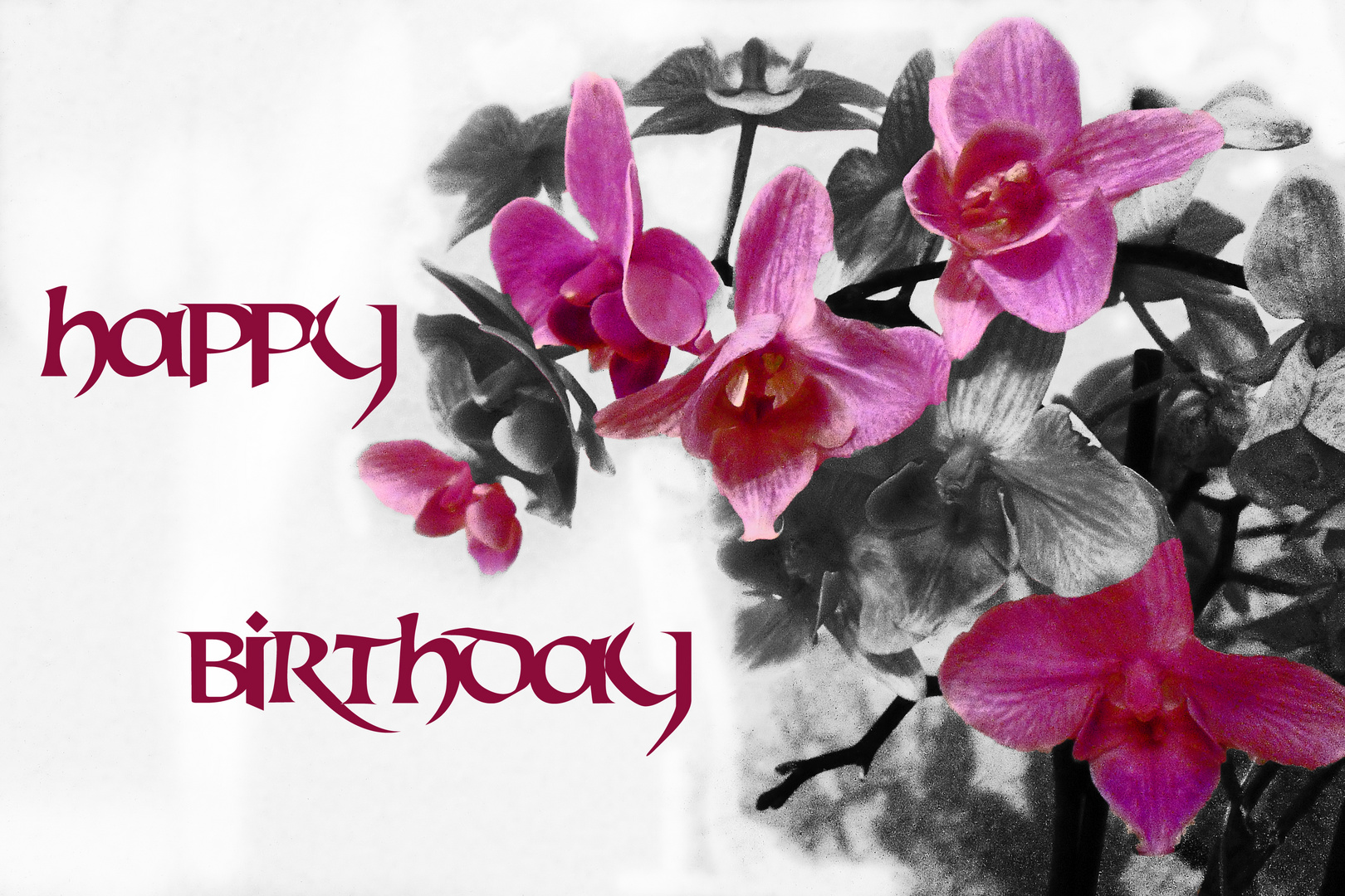 Happy Birthaday Orchidee