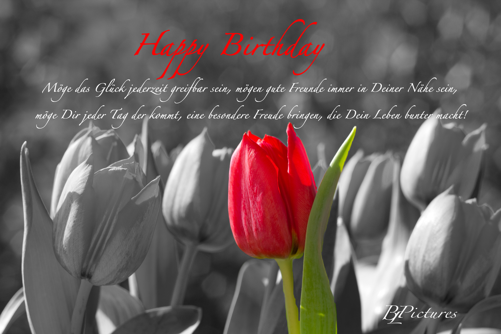Happy Birthday Foto Bild Karten Und Kalender Geburtstagskarten Spezial Bilder Auf Fotocommunity