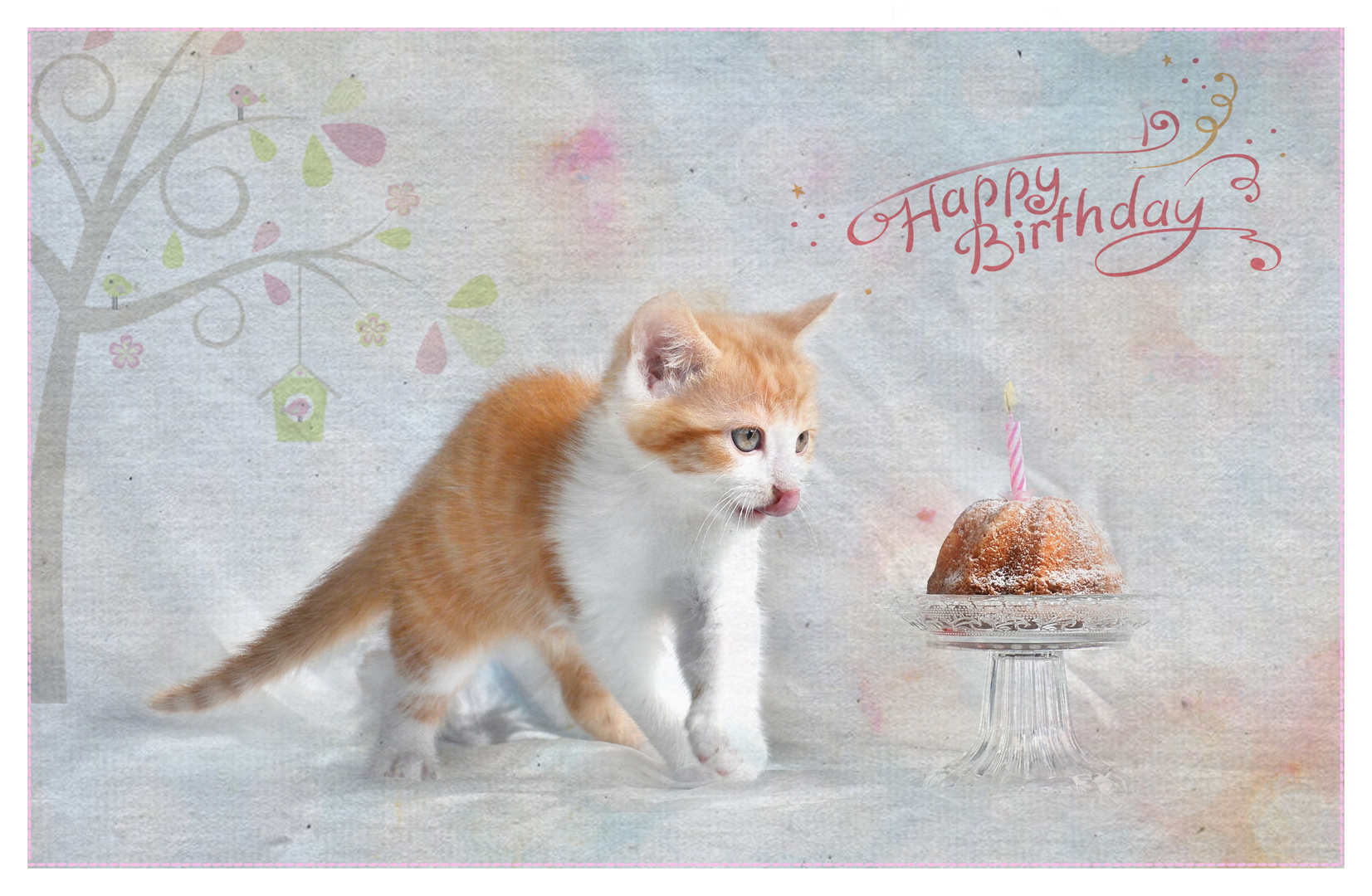 Happy Birthday Foto Bild Karten Und Kalender Geburtstagskarten Katzen Bilder Auf Fotocommunity