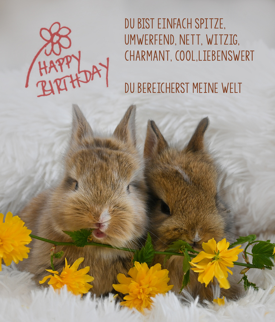 Happy birthday Foto & Bild karten geburtstag , karte, kaninchen