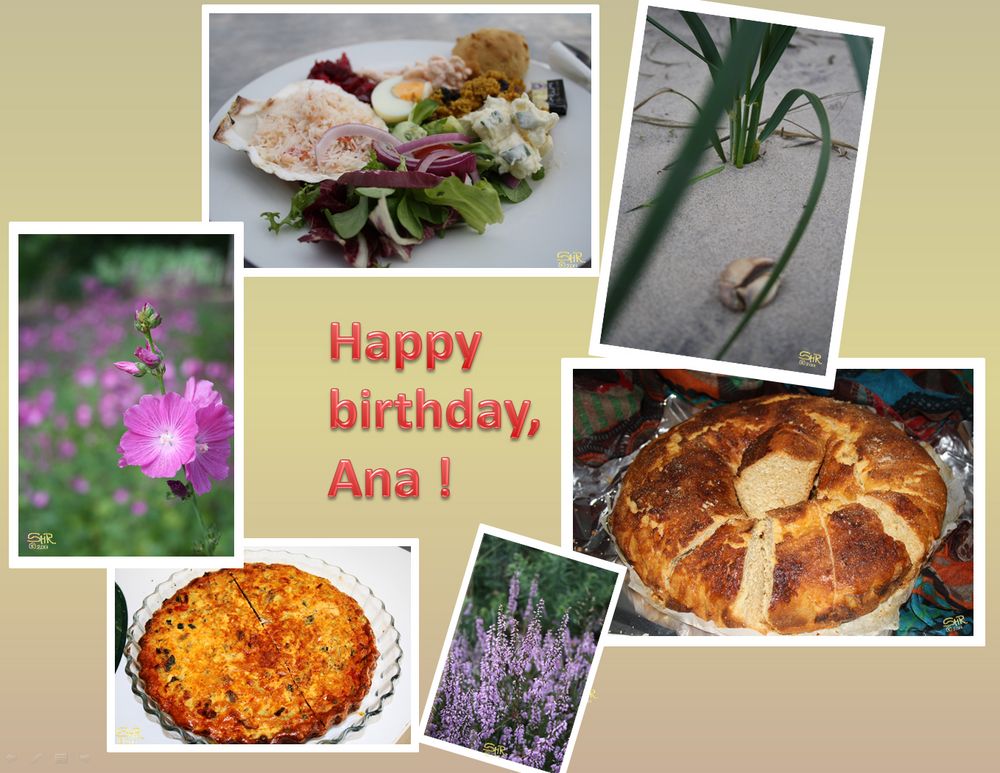 Happy Birthday Ana !!!