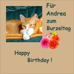 Happy Birthday, Andrea