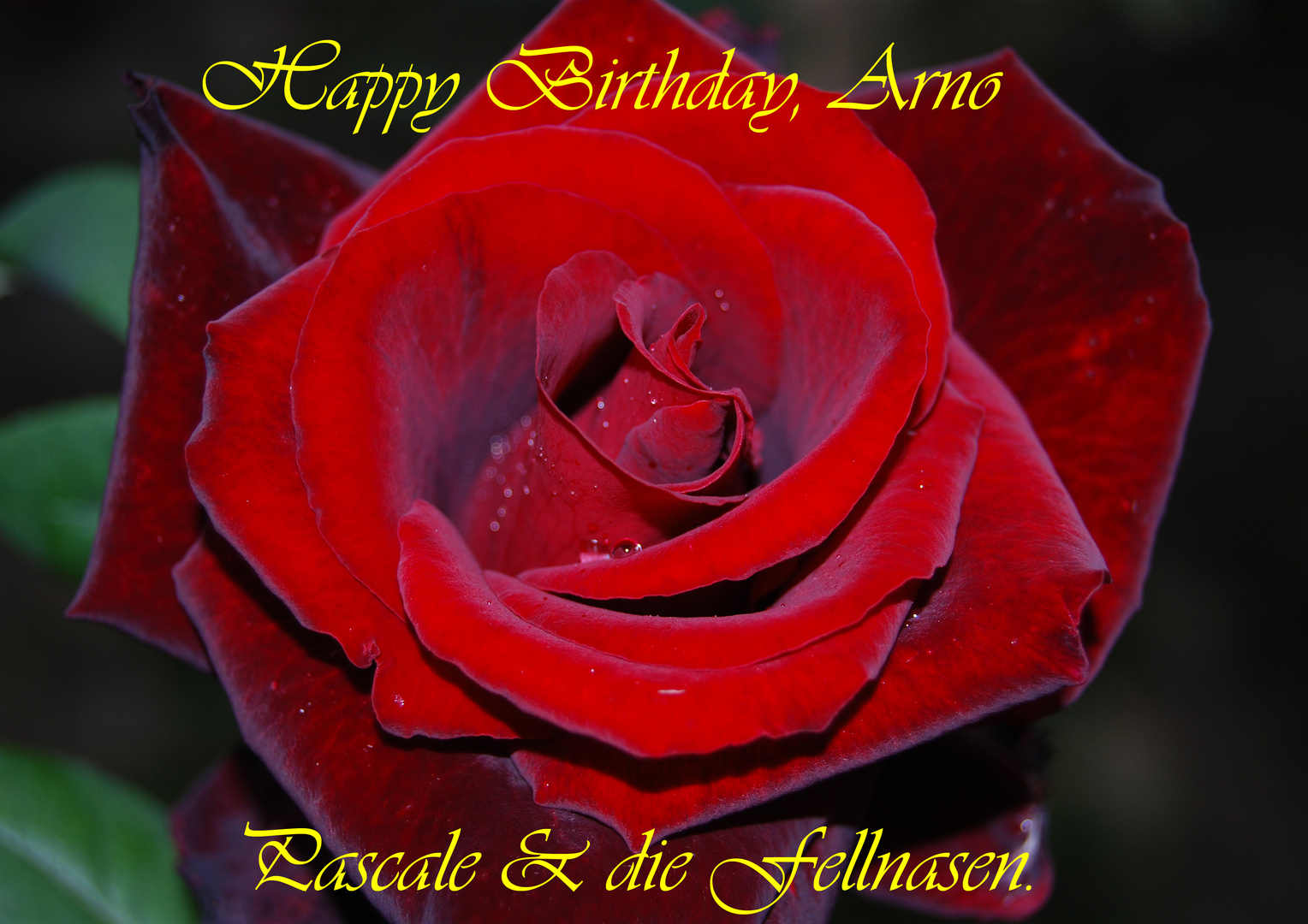 Happy birthday Arno.......