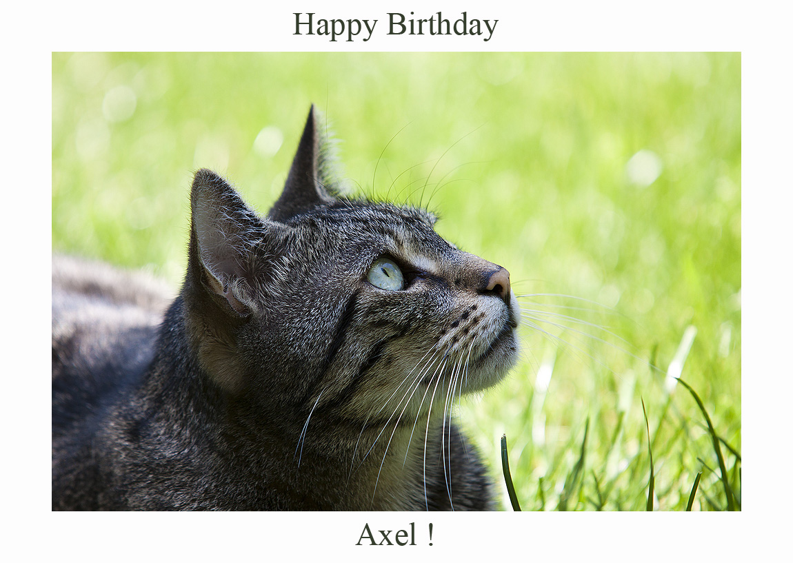 Happy Birthday Axel!