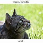 Happy Birthday Axel!