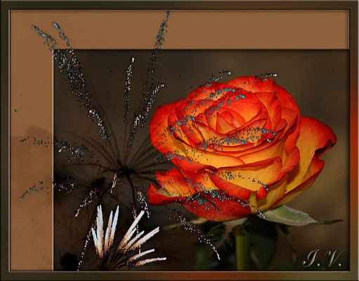 Happy birthday, Christian!