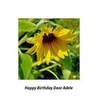 Happy birthday dear Adele