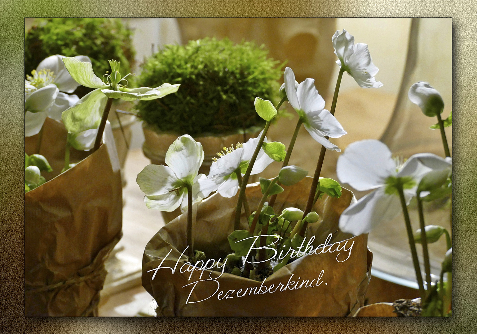 Happy Birthday Dezemberkind Foto & Bild spezial, winter, natur Bilder