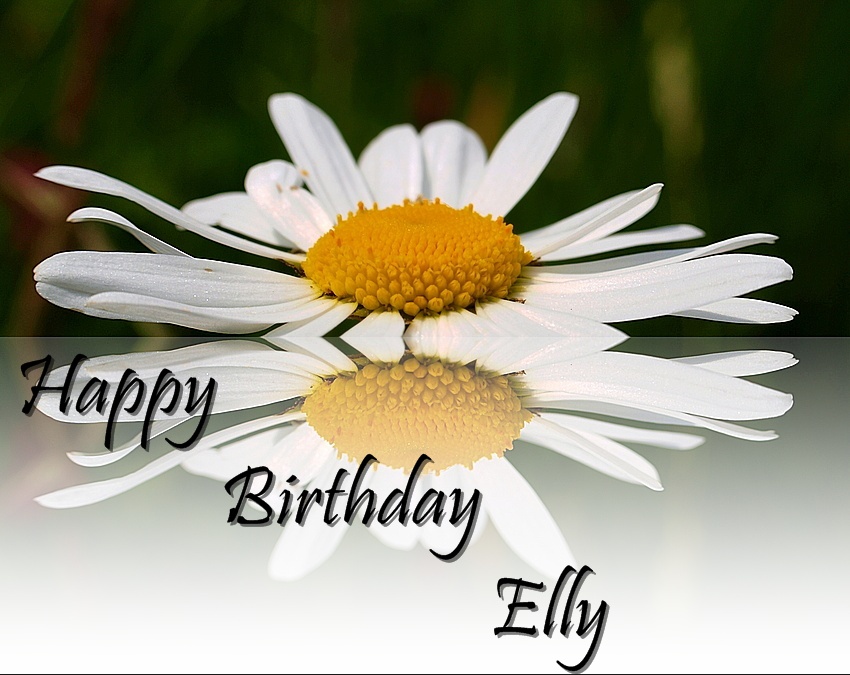 Happy Birthday Elly