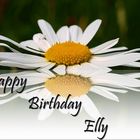 Happy Birthday Elly