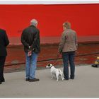 Happy Birthday Hafen Hamburg (II)