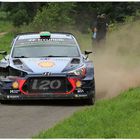 Happy Birthday Hayden Paddon