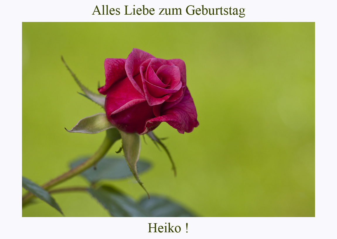 Happy Birthday Heiko