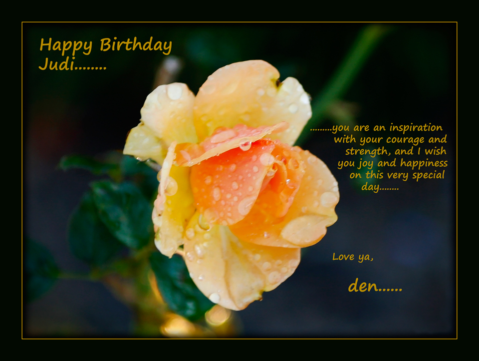 Happy Birthday 'Judi'...........