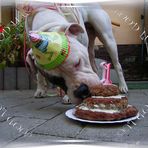 HAPPY BIRTHDAY lass es dir schmecken