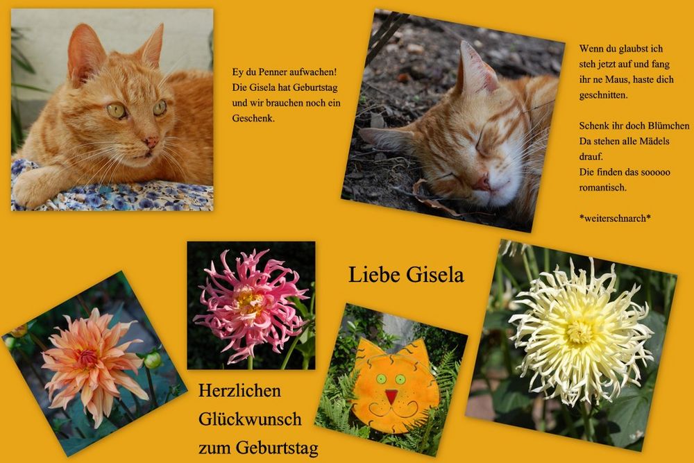 Happy birthday liebe Gisela!