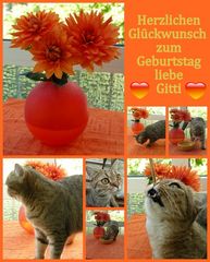 Happy Birthday, liebe Gitti!