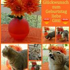 Happy Birthday, liebe Gitti!