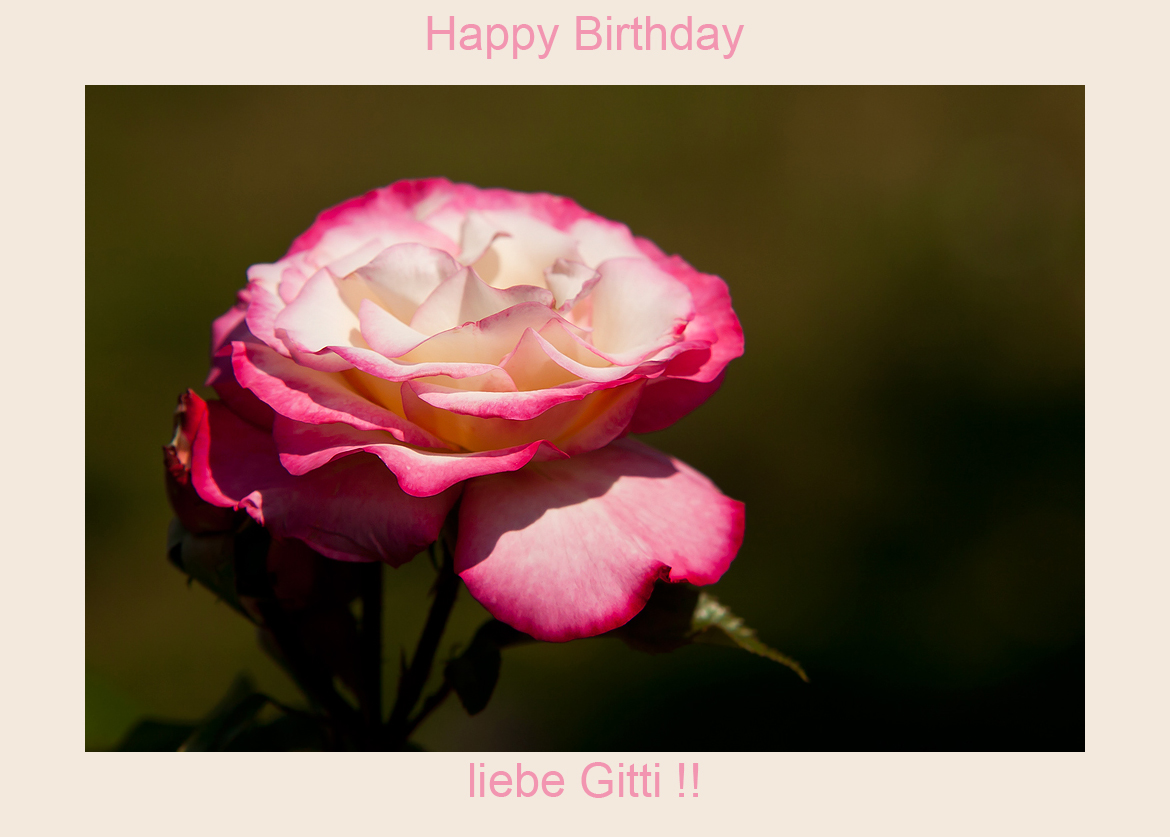 Happy Birthday liebe Gitti !!