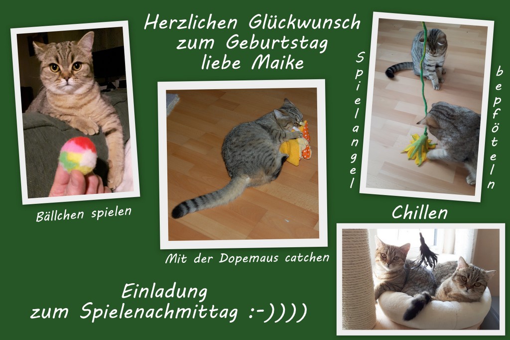 Happy Birthday liebe Maike