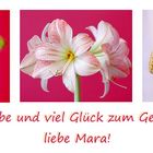 Happy Birthday, liebe Mara!