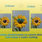 Happy Birthday liebe Sonja & lieber Ludwig