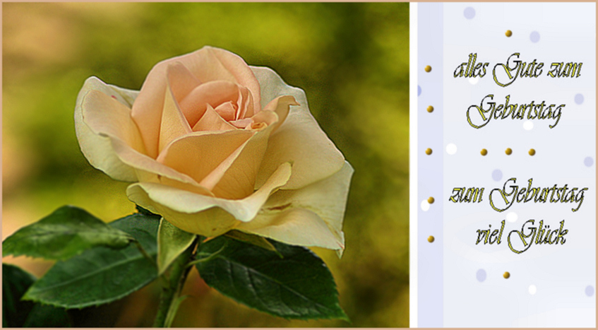 happy birthday liebe Sylvia Foto & Bild karten und kalender
